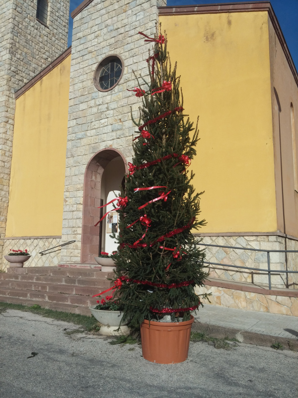 albero-natale-santa-maria-la-palma